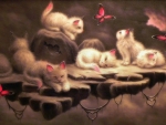 Kittens and butterflies