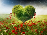 Heart tree and poppies
