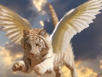 Angel tiger