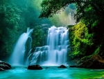 Rainforest Waterfalls
