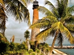 Palm Trees and Lighthouse