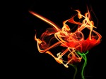 Burnning Flower