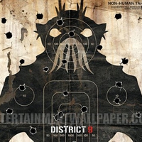 District 9 Target