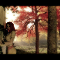 Glory to the Sin'dorei