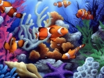 coral reef