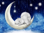 Little Kitten on The Moon