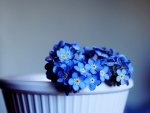 Lovely Blue Flowers