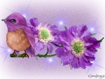 PURPLE BIRD ON PURPLE