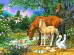 Foal and mare by the stream