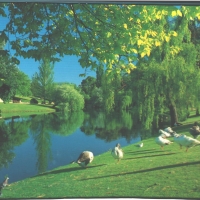 Reflection on Torrents River