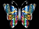 Butterfly 2