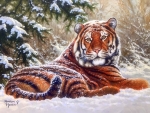 ..Tiger in Snowy..