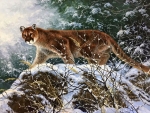 ..Mountain Lion..