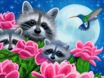 Magnolia Coons