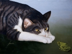 kitty and the frog