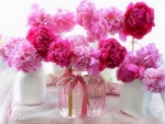 âœ¿âŠ±â€¢â•®Romantic Peoniesâ•­â€¢âŠ°âœ¿