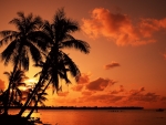 Tahitian Sunset