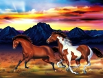 Two horses