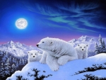 Dreams of polar bears