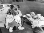 doggy tea party