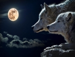 Howling time