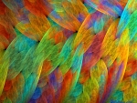 feathers