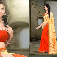 Avantika Mishra Model