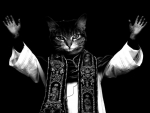 may the cat priest be with you