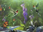 Hummingbirds