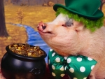 Leprechaun Pig