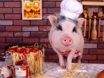 Chef Piggy