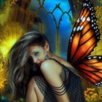~Butterfly Wings~