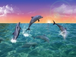 DOLPHINS AT PLAY