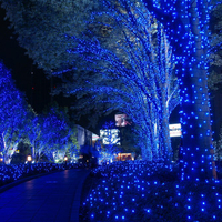 Christmas in Tokyo