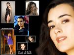 NCIS Ziva David