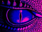 DRAGONS EYE