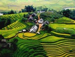 Sa Pa terraced fields
