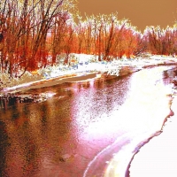 Northern Michigan River