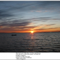 Last Boat Of The Day