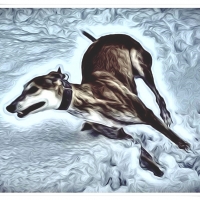 Greyhound, Abstract