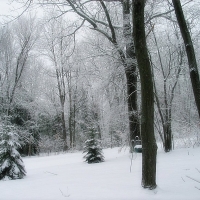 A Northern Michigan Morning 35 Below Zero!