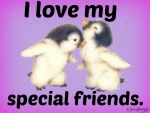 SPECIAL FRIENDS