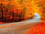 near by autumn road