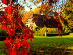 Autumn in countryside