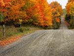 close by autumn road