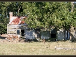 farm house by Markirikiri Stream, Rangitikei, Nz 