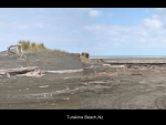 Turakina Beach, Rangitikei, Nz