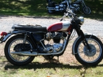 Triumph  Bonneville