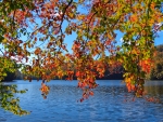 Autumn Lake