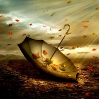 Autumn Umbrella